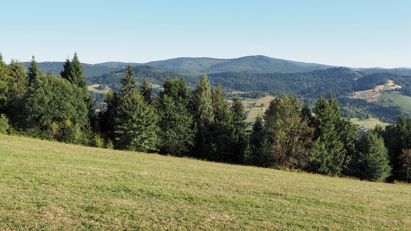 Kykuľa