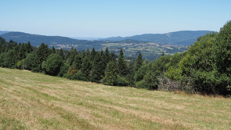 Liesková