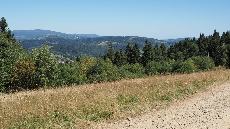 Liesková