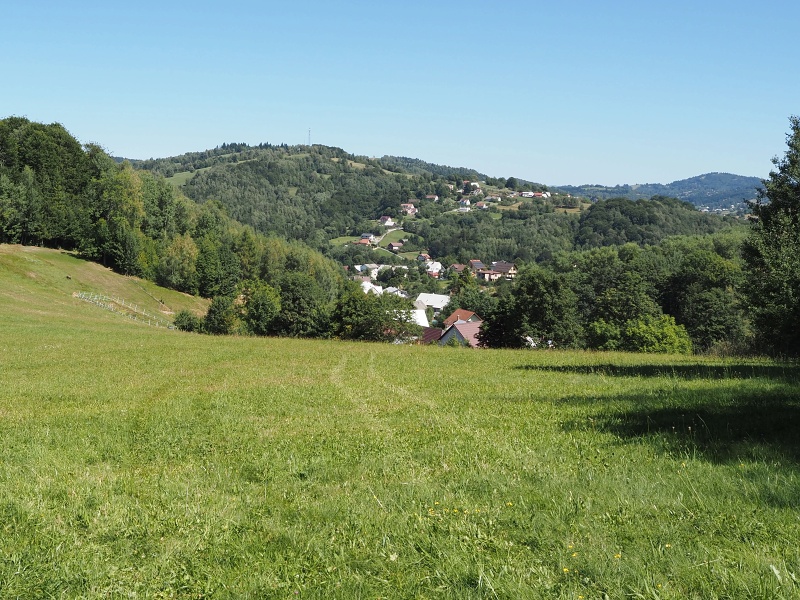 Liesková