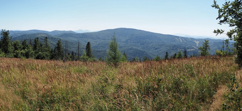 Kykula/Kikula