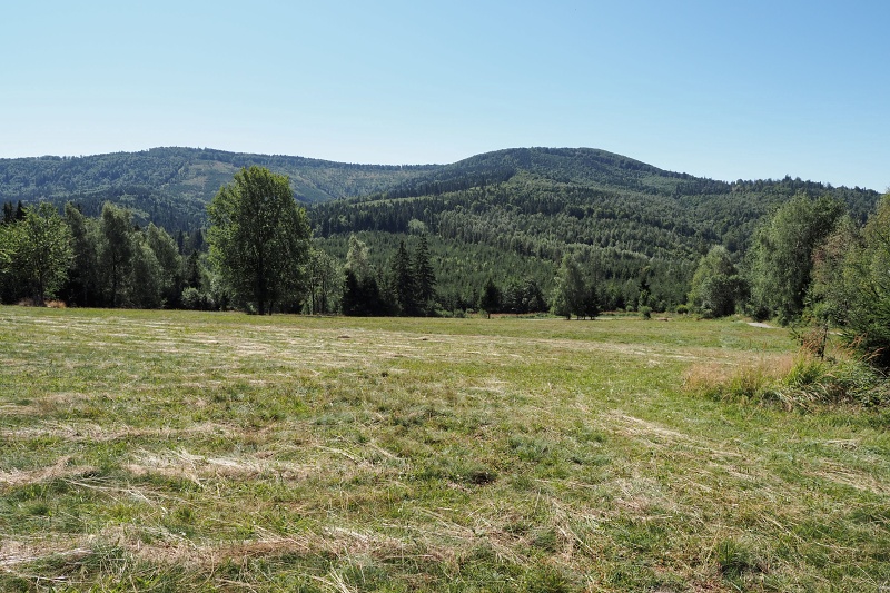 Kykula/Kikula