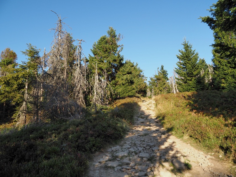 Velká Rača