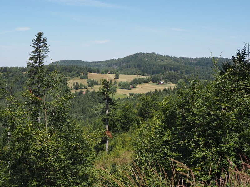 Przegibek