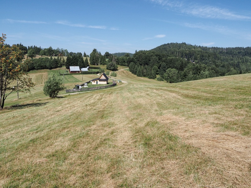Przegibek