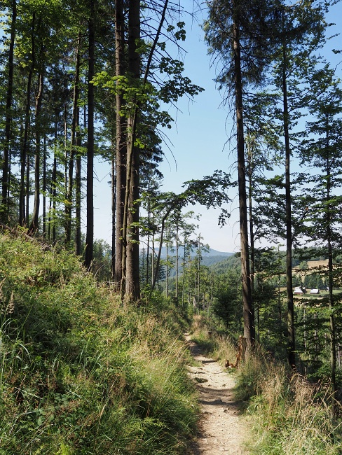 Przegibek