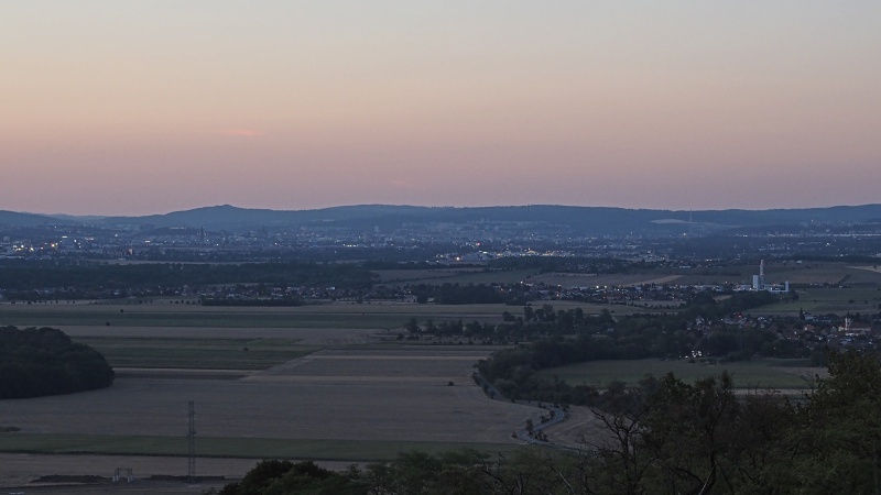 Výhon