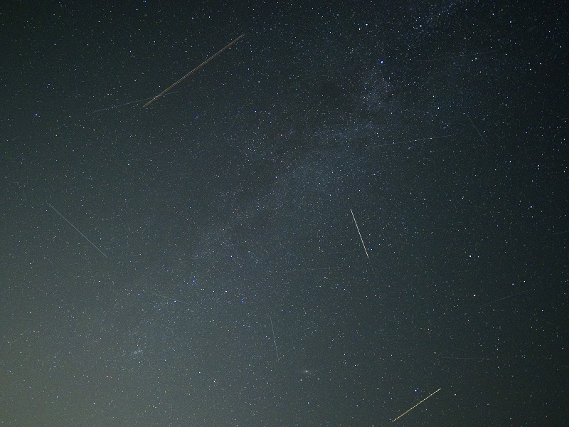 Výhon