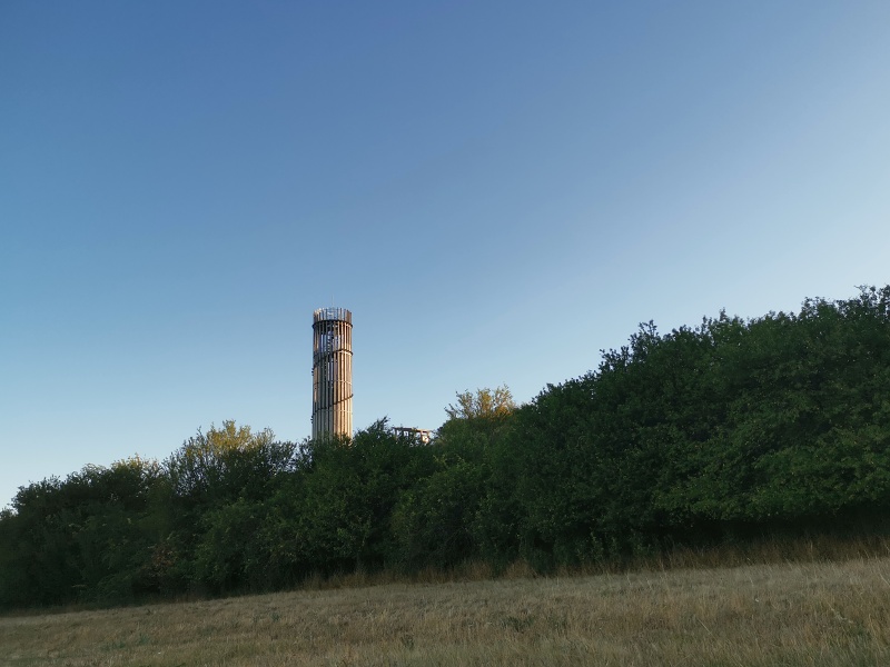 Výhon