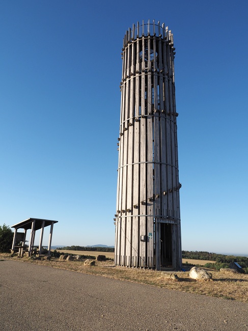 Výhon