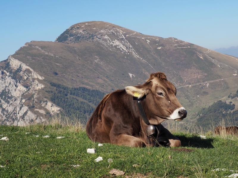 Monte Baldo
