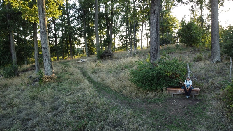 Brněnská přehrada