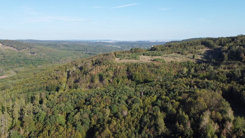 Brněnská přehrada