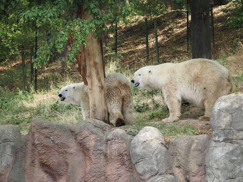 ZOO Brno