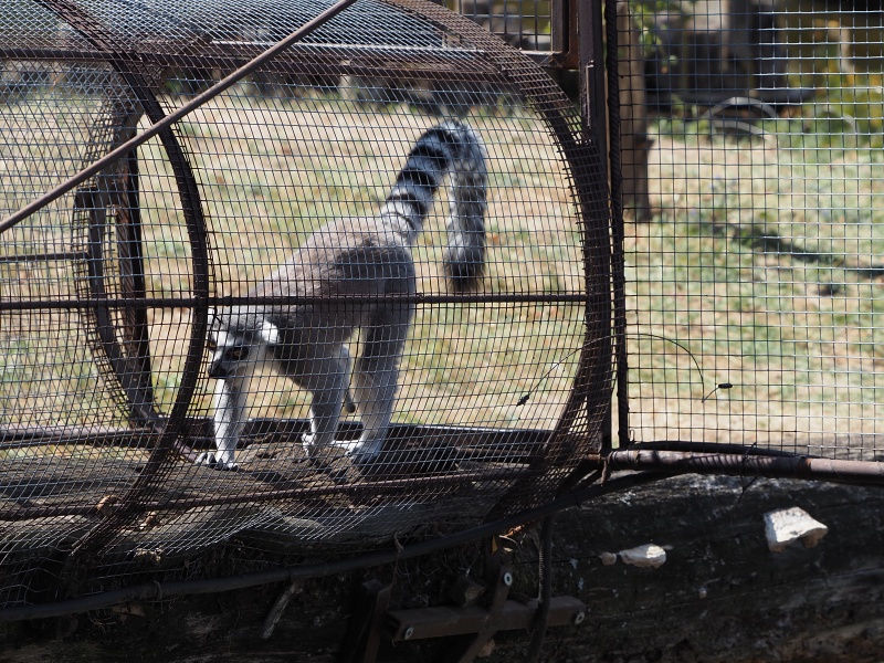 ZOO Brno