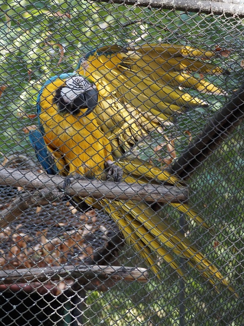 ZOO Brno