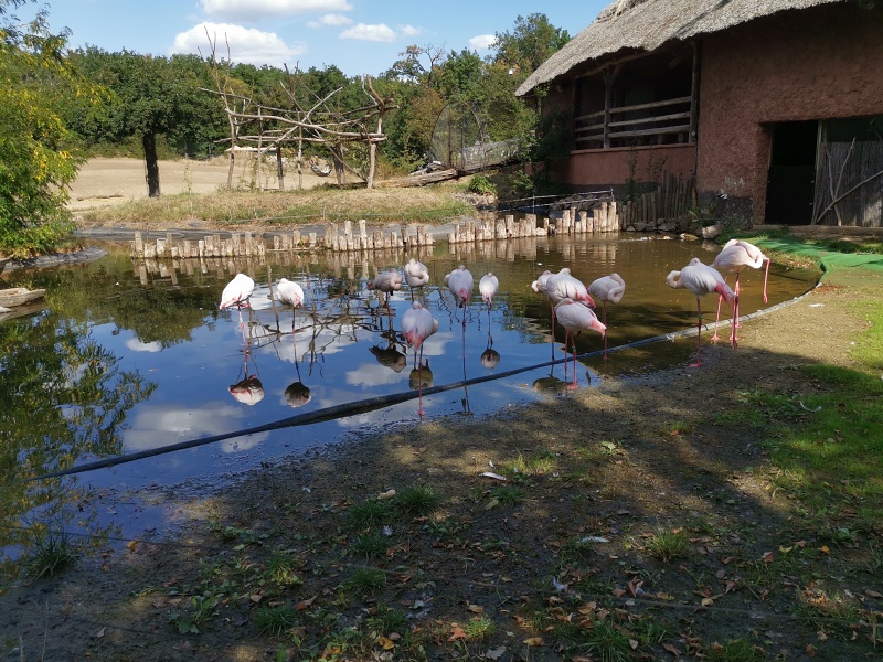 ZOO Brno
