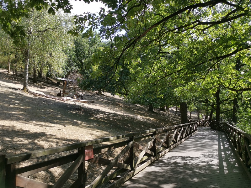 ZOO Brno