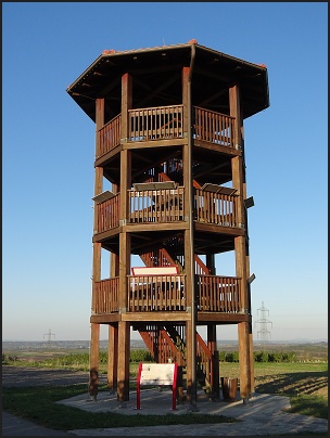Sandbergwarte